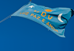 Bandeira da União do Vegetal