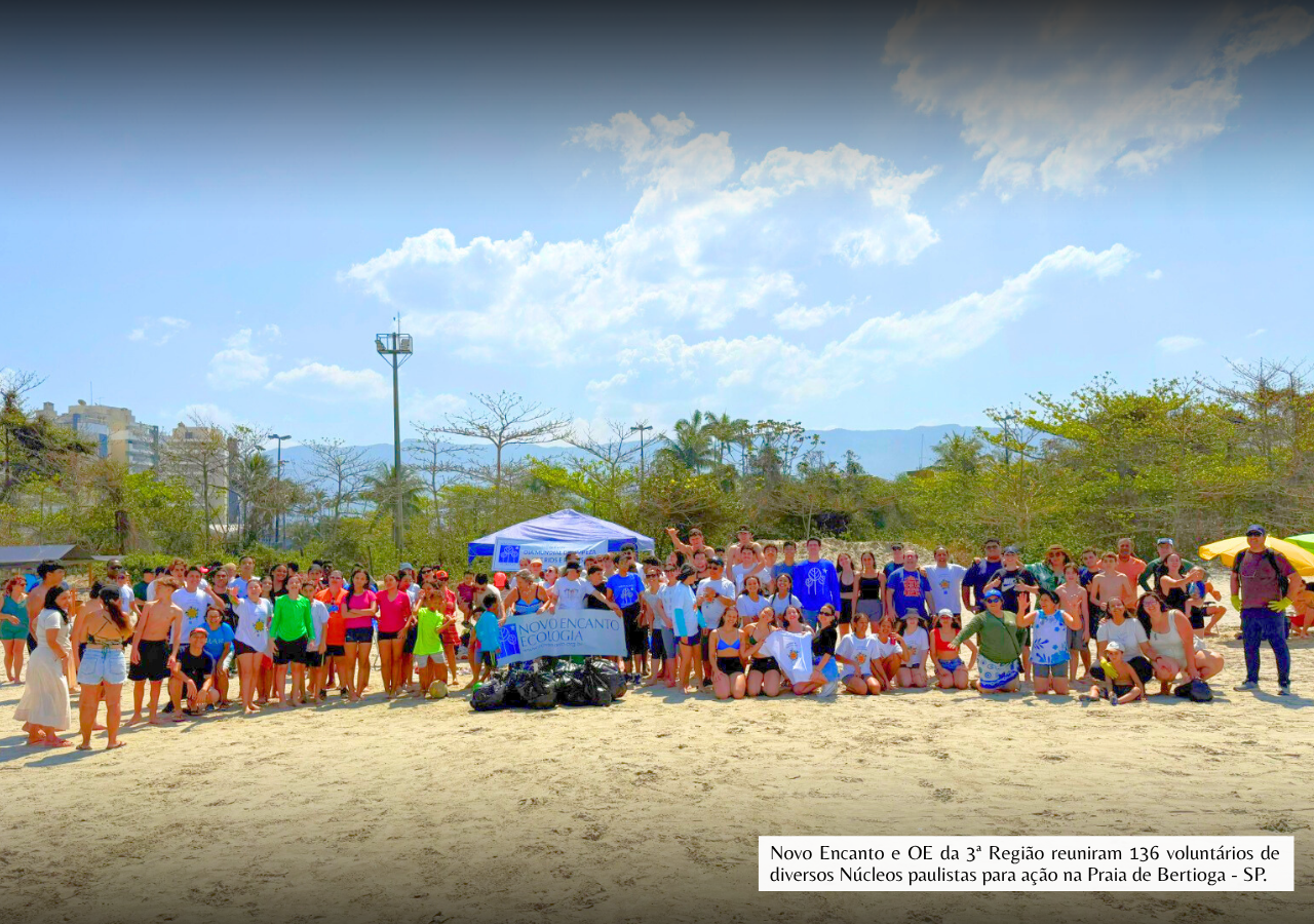 NOVO ENCANTO - LIMPEZA DE PRAIAS (2)