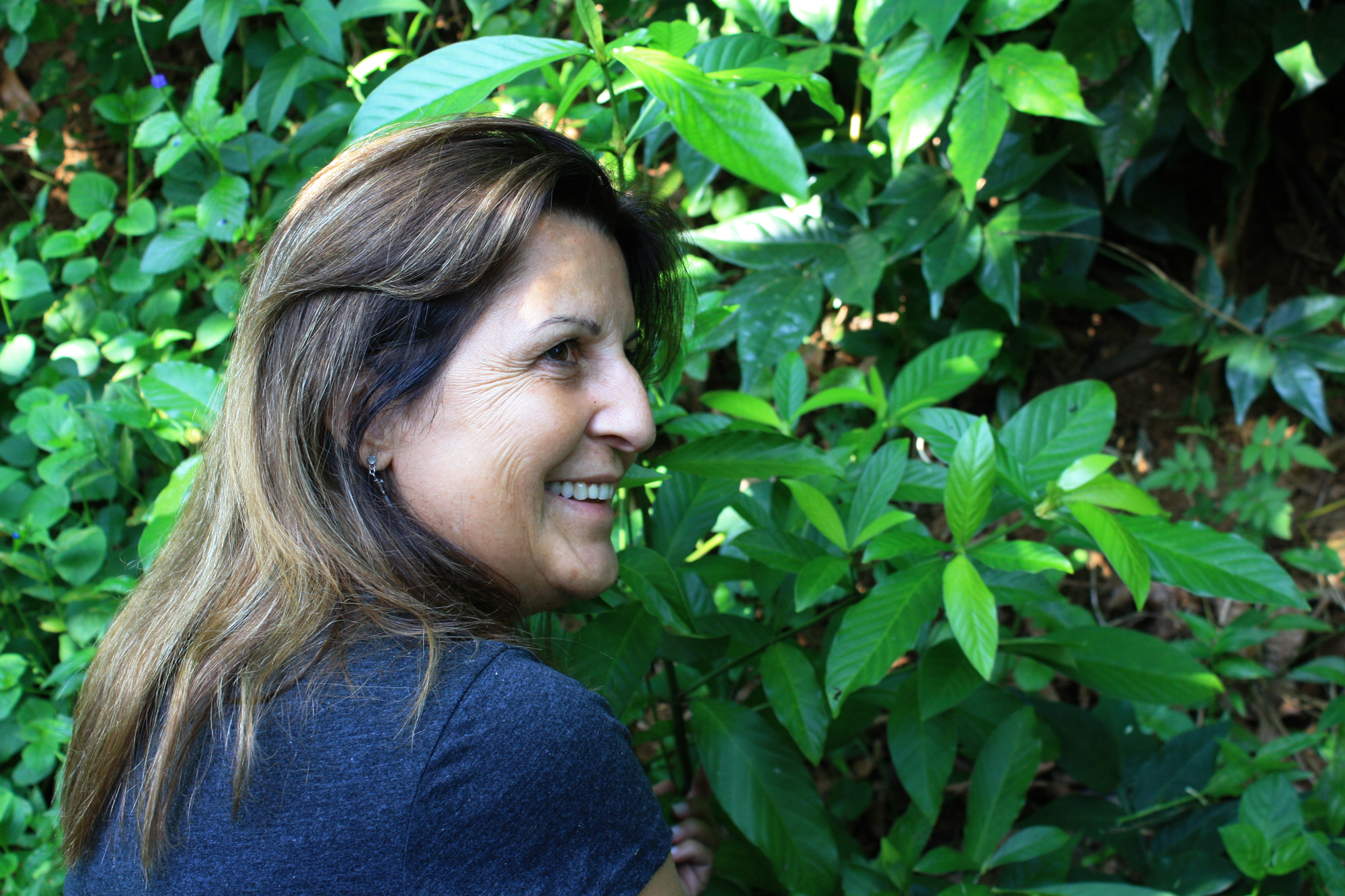 O Pequeno Príncipe e a mensagem da rosa na UDV - Centro Espírita  Beneficente União do Vegetal